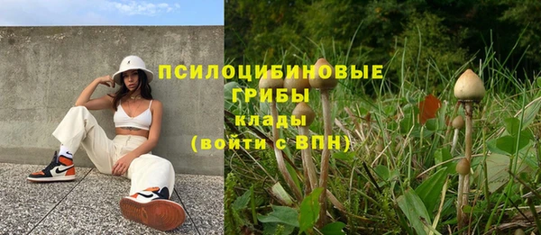 эйфоретик Ладушкин