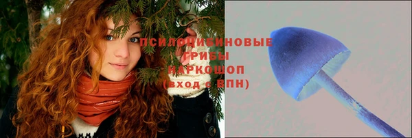 эйфоретик Ладушкин