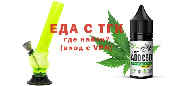 тгк Пионерский