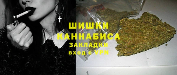 эйфоретик Ладушкин