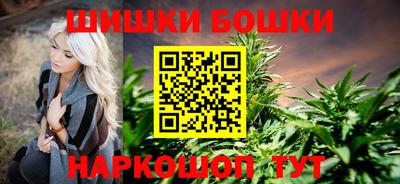 бошки Кингисепп