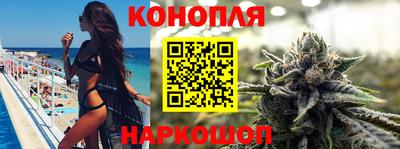 сатива Балаково