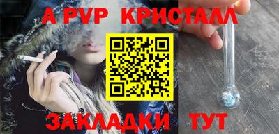 бошки Кингисепп
