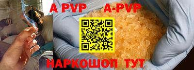 бошки Кингисепп