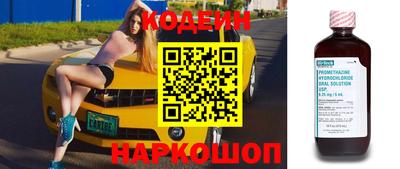 бошки Кингисепп