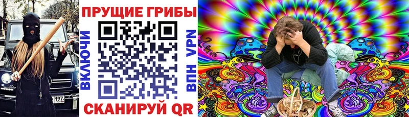 blacksprut вход  купить закладку  Сосновый Бор  Галлюциногенные грибы MAGIC MUSHROOMS 