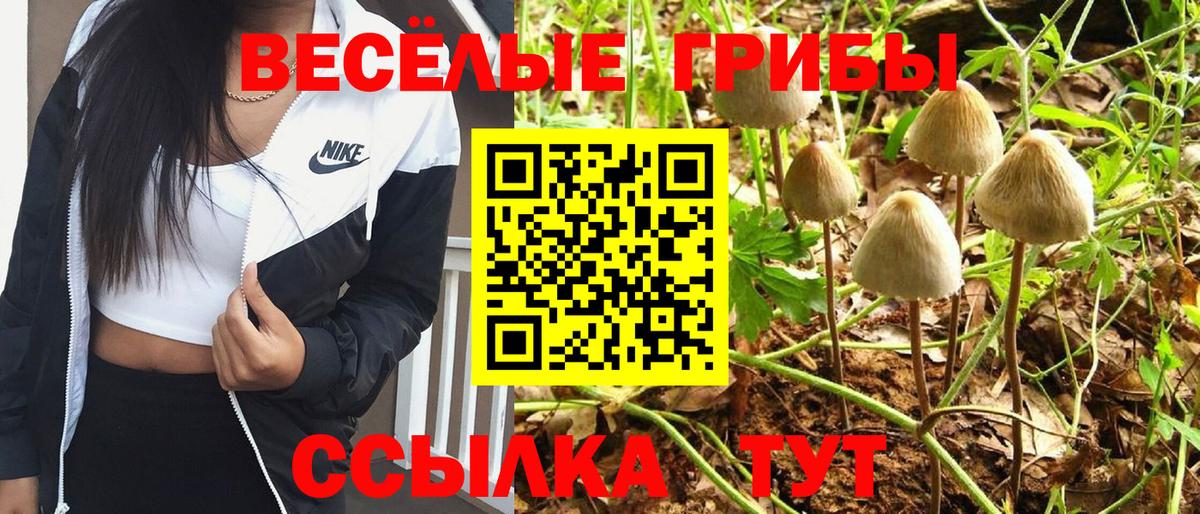 Кокаин  Сосновый Бор  Гашиш  Марихуана  Купить наркотики  МЕФ   Вход с VPN 