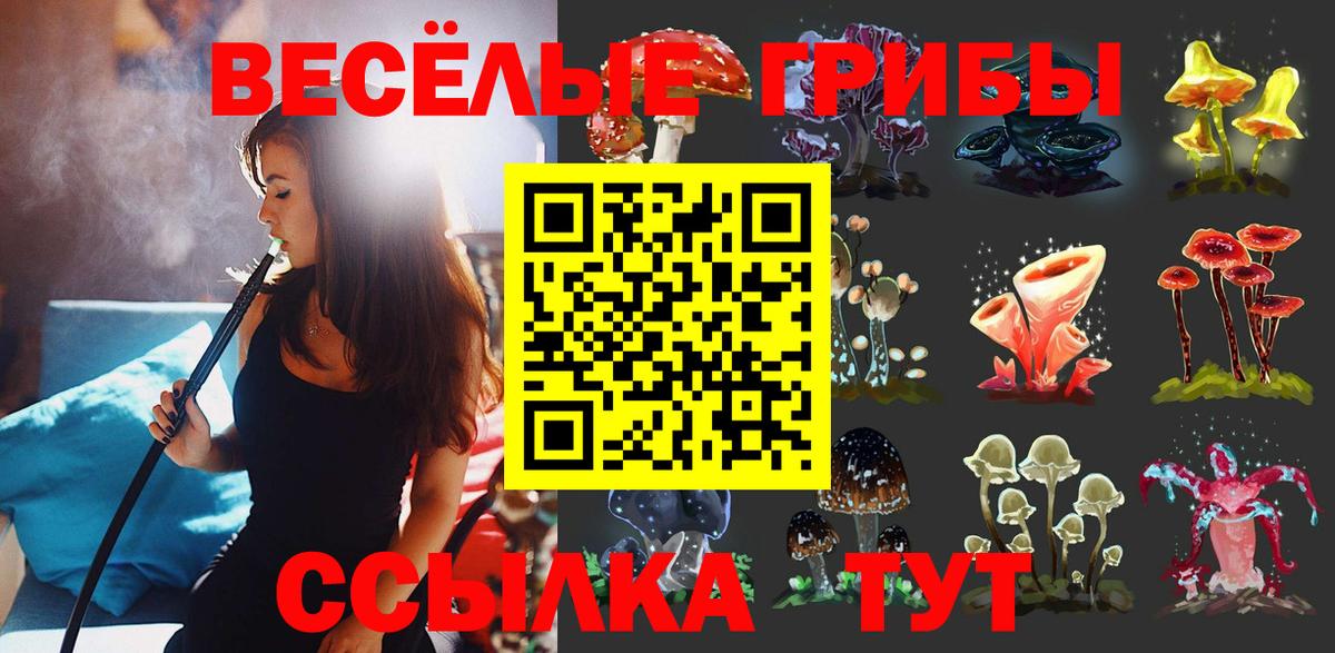 Псилоцибиновые грибы GOLDEN TEACHER  Сосновый Бор 