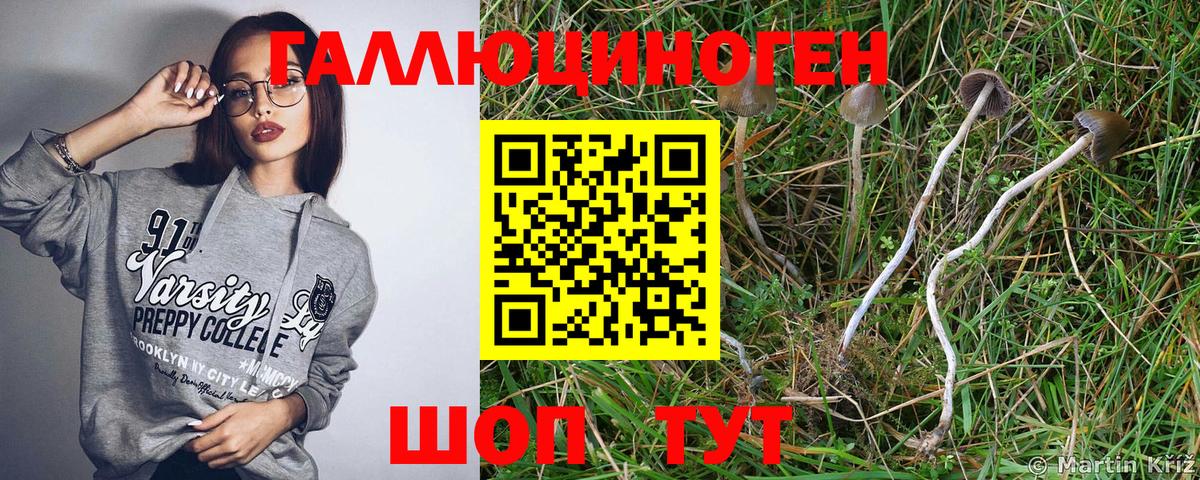 Псилоцибиновые грибы ЛСД  Галлюциногенные грибы GOLDEN TEACHER  Вход с VPN  Сосновый Бор 